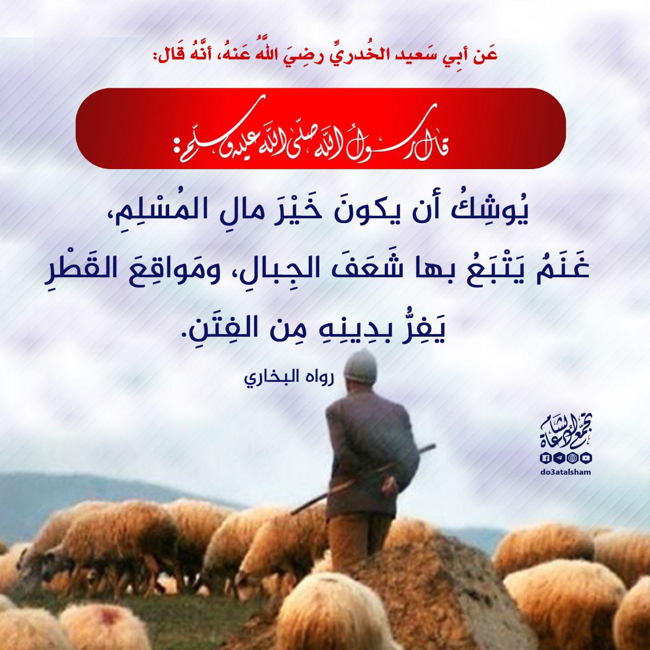 إيمانيات - يفر بدينه من الفتن