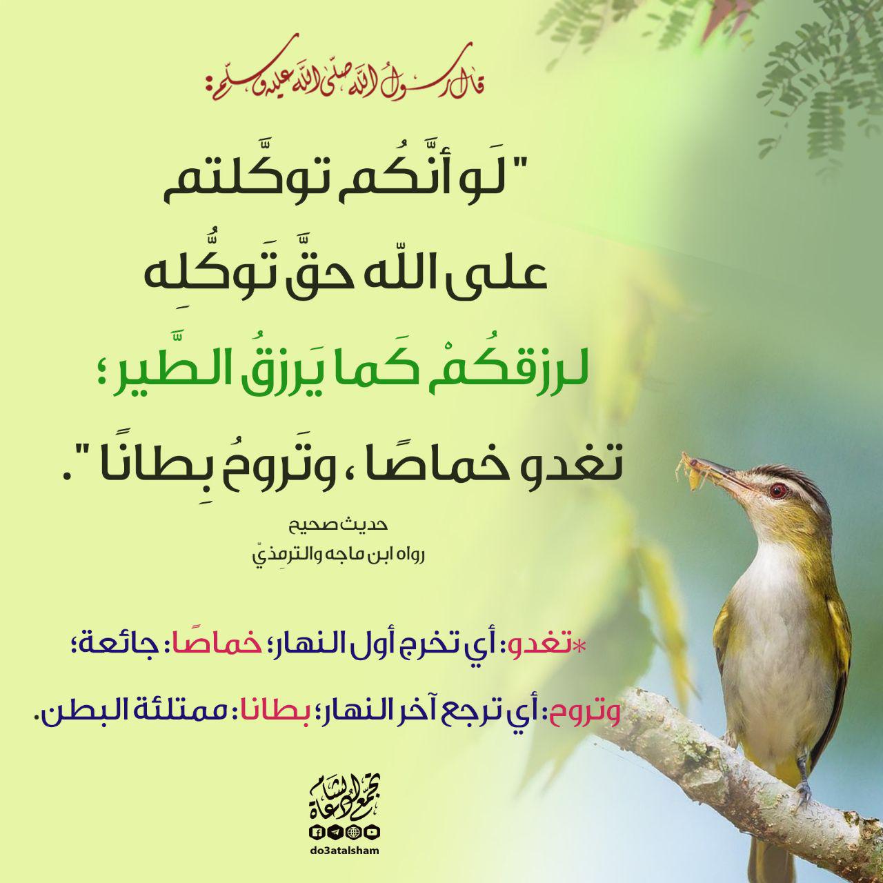 إيمان - التوكل على الله