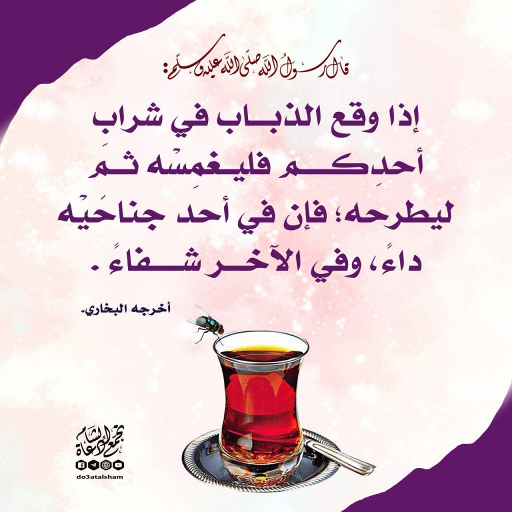 الطب النبوي - إذا وقع الذباب في شراب أحدكم