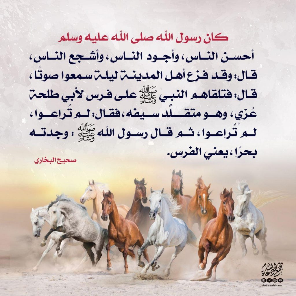 جهاد - 