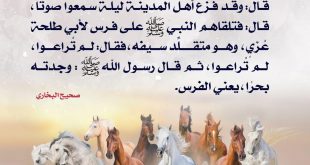 جهاد - رسول الله أسوة الشجعان وقائد الفرسان