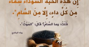 الطب النبوي - الحبة السوداء - حبة البركة