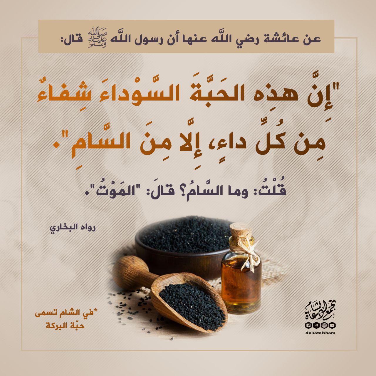 الطب النبوي - الحبة السوداء - حبة البركة