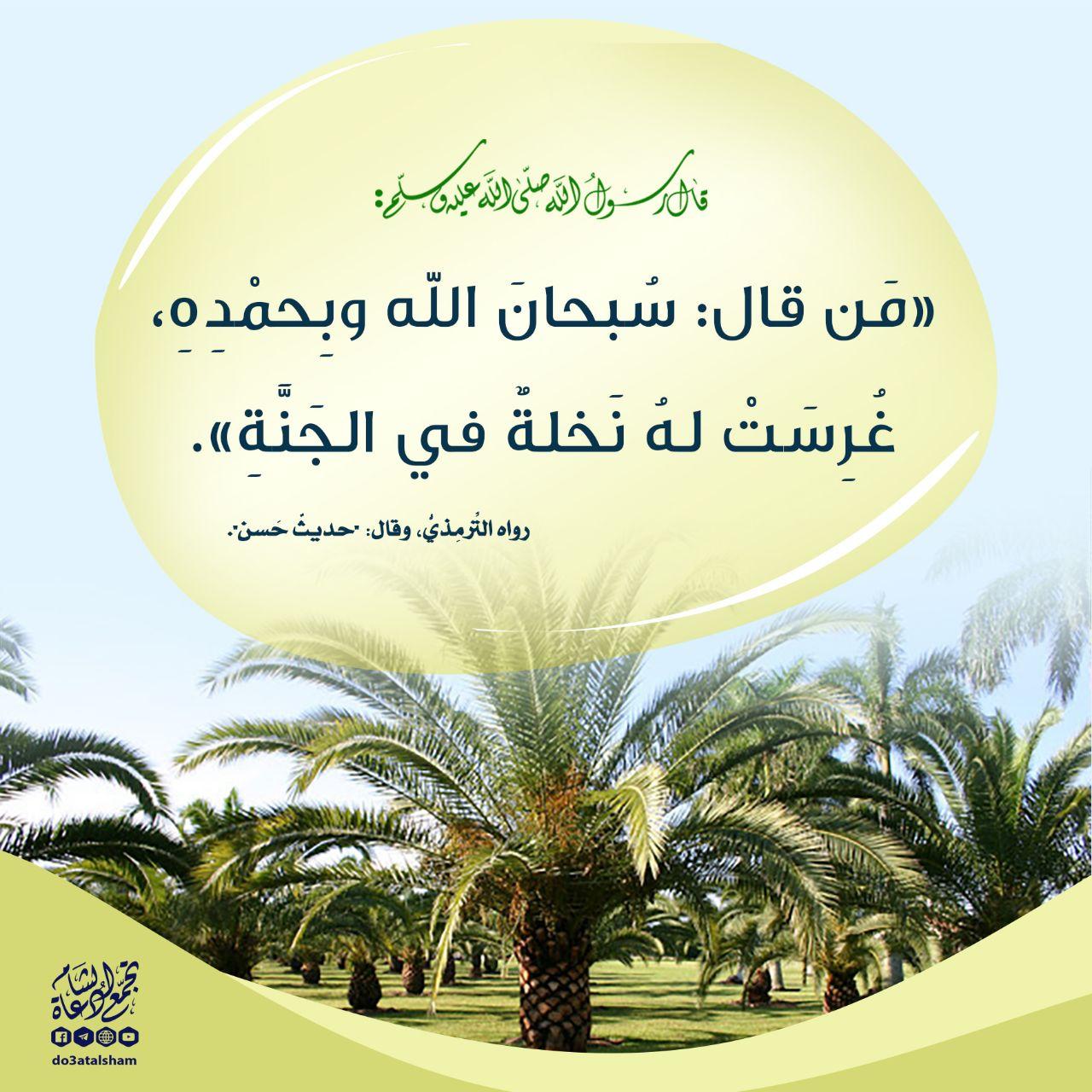 أذكار - سبحان الله وبحمده