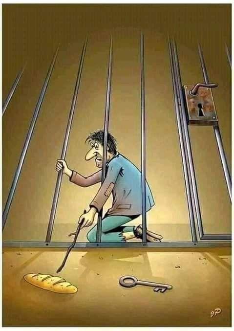 التوعية السياسية - حتى لا نفكر بالحرية