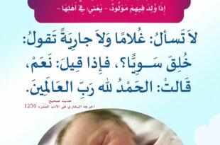 المولود الجديد