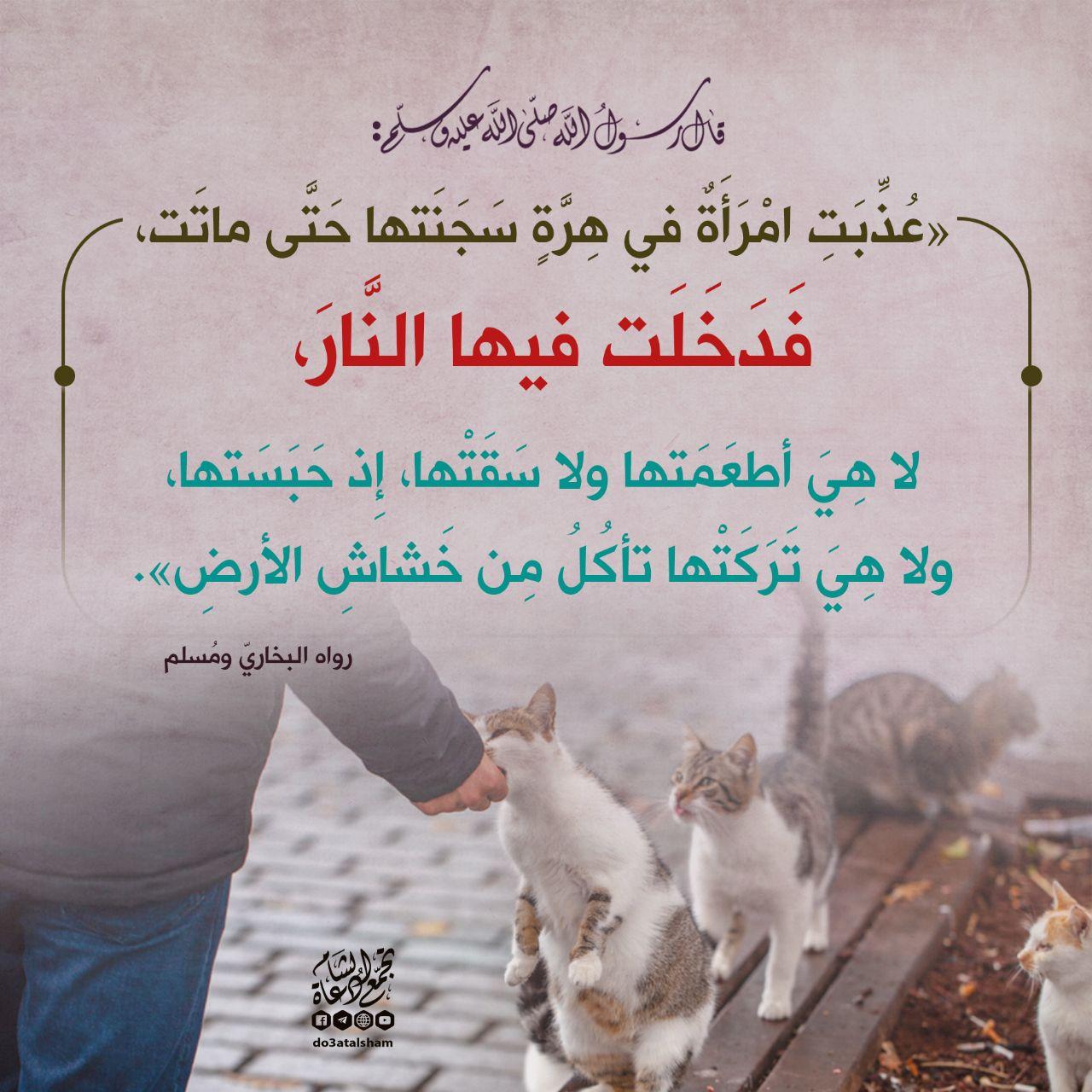 أخلاقنا الإسلامية - الرحمة والرفق بالحيوان