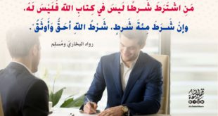 المجتمع المشلم - العقود