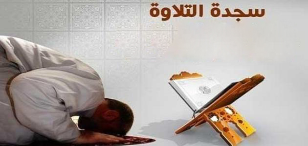 مواضيع فقهية - سجدة التلاوة