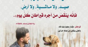 آداب إسلامية - شروط اقتناء الكلب