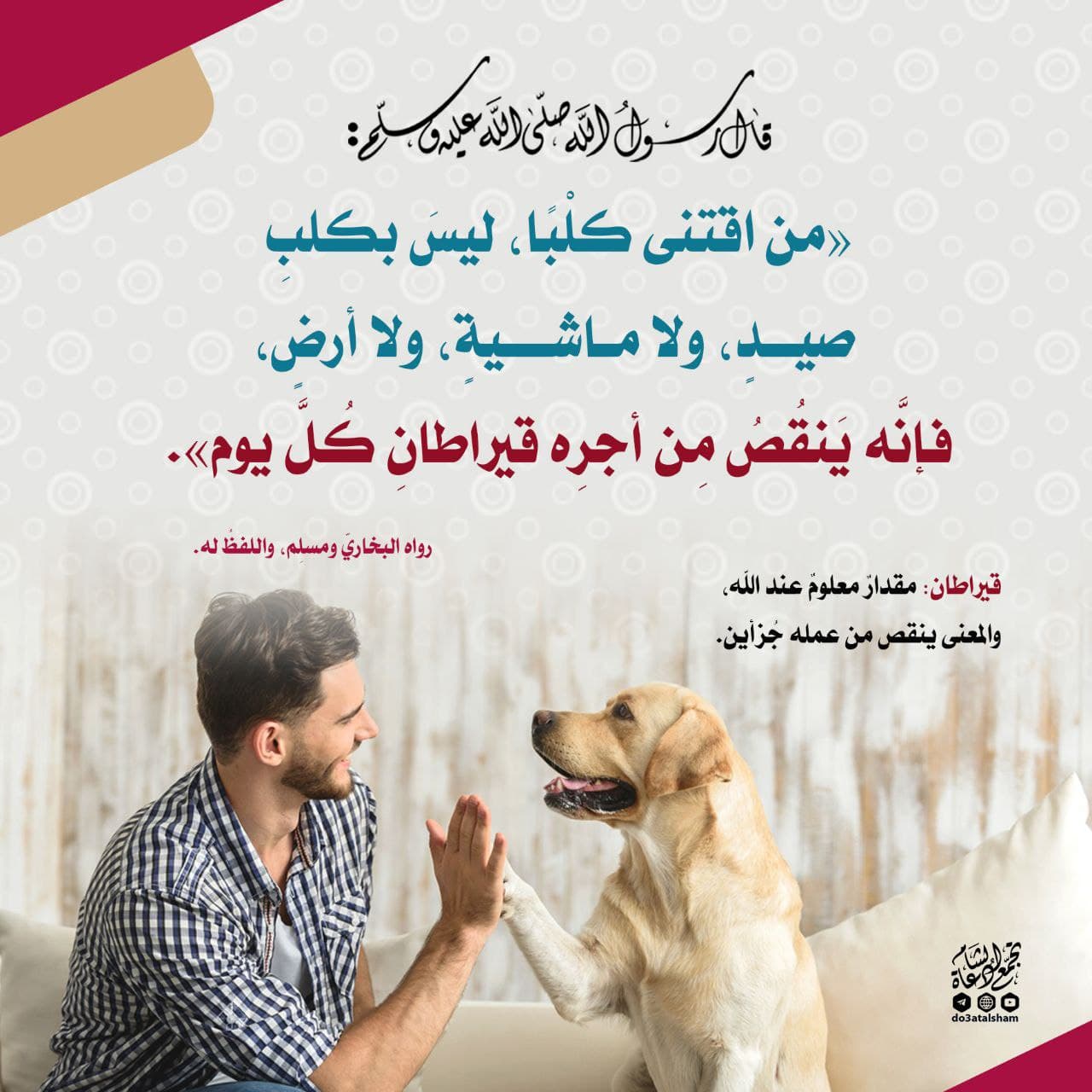 آداب إسلامية - شروط اقتناء الكلب