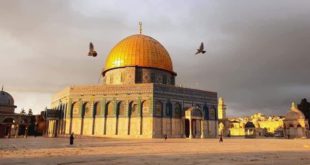حدث وتعلق - صباح مقدسي ربيعي