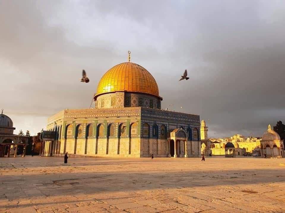 حدث وتعلق - صباح مقدسي ربيعي