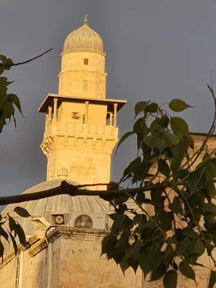 حدث وتعلق - صباح مقدسي ربيعي