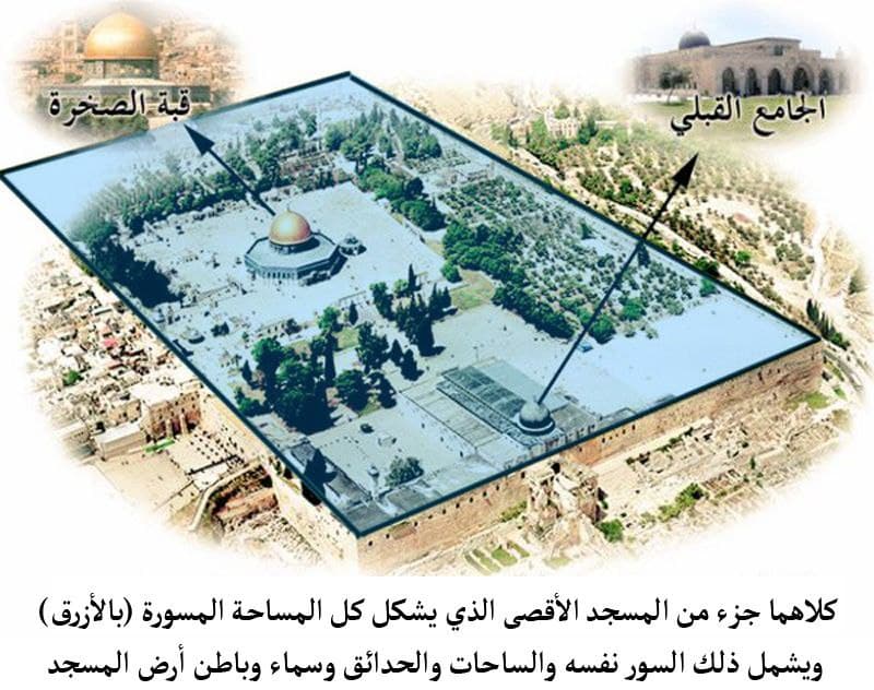 مقالات - المسجد الأقصى