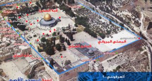 مقالات - المسجد الأقصى