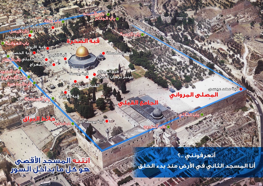 مقالات - المسجد الأقصى