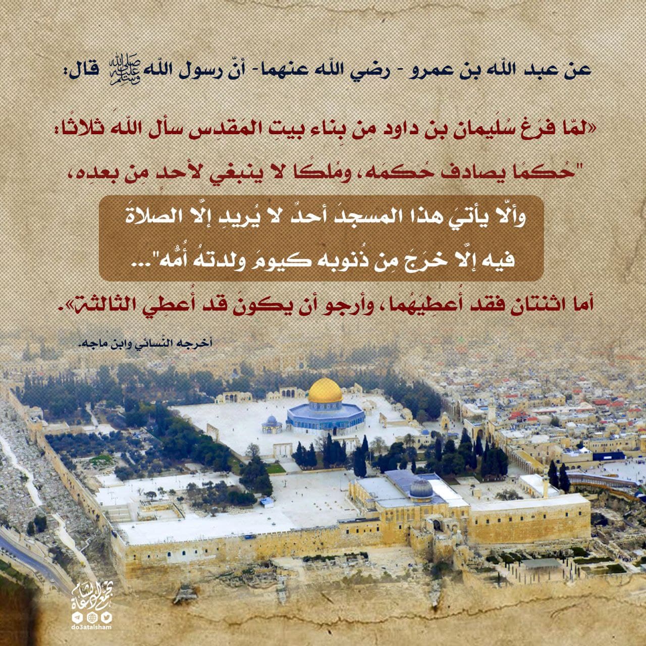 المسجد الأقصى - المسجد الأقصى