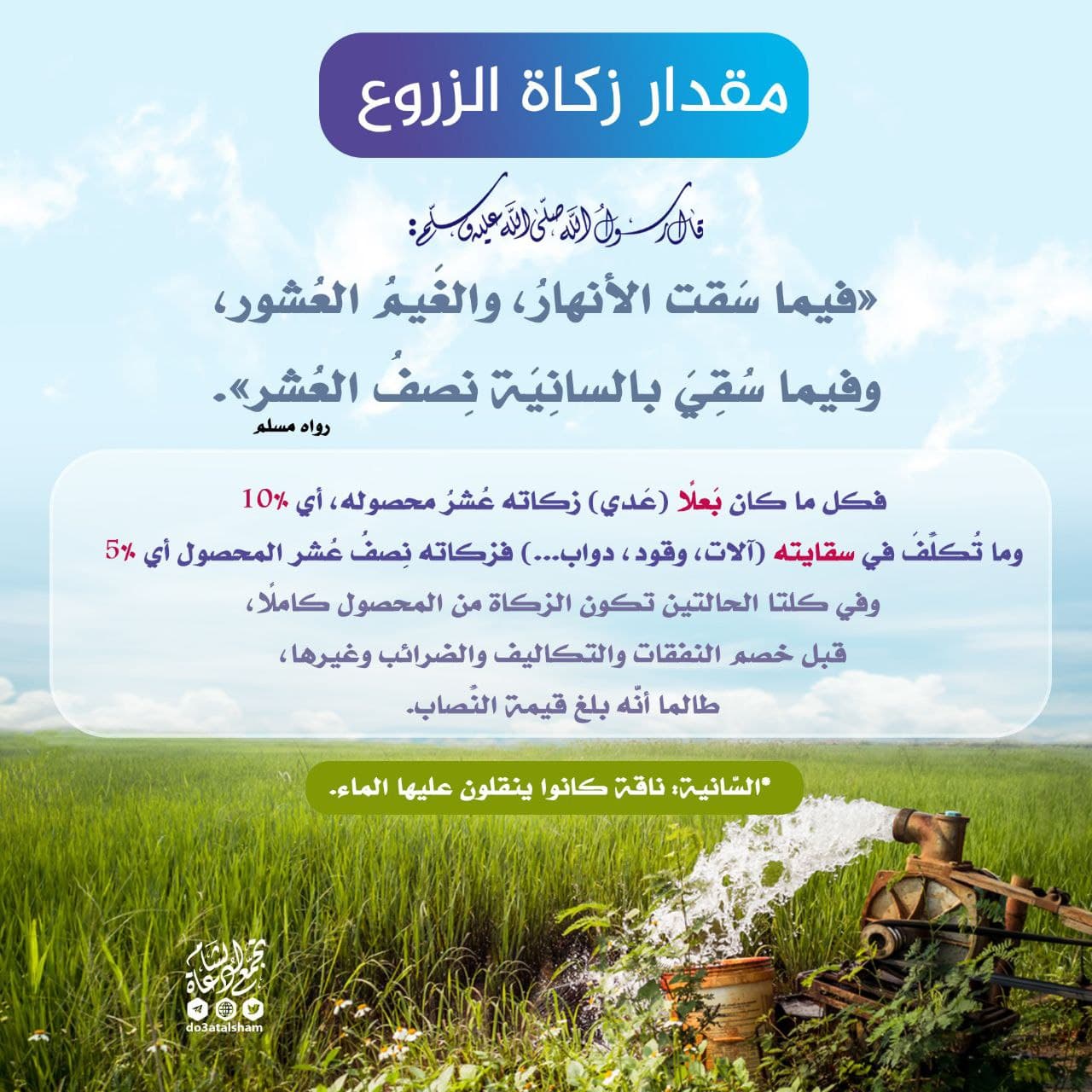 حزيران - زكاة الزروع والمحاصيل