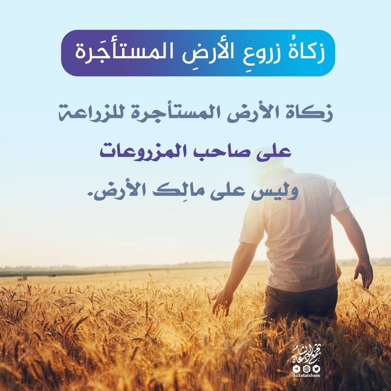 حزيران - زكاة الزروع والمحاصيل