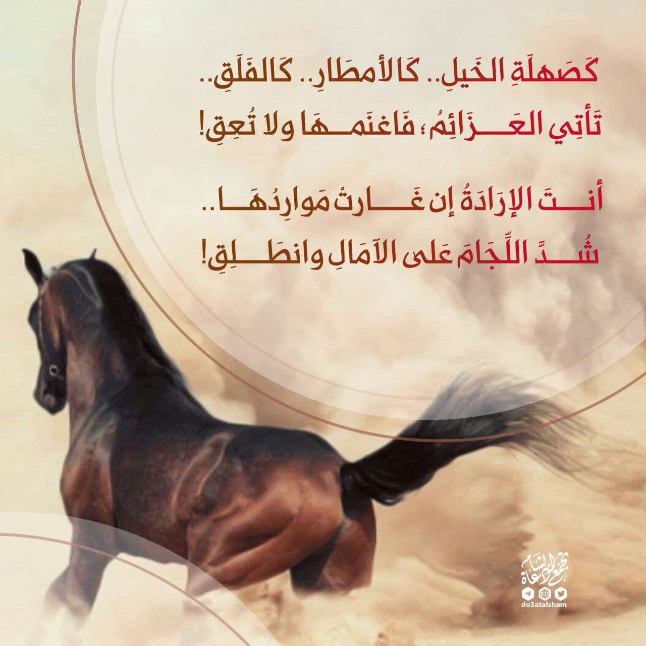 زاد الطلبة -