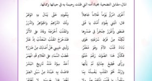 قلب الأم