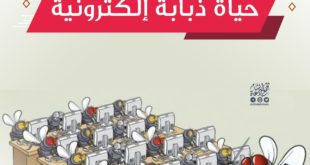 حياة ذبابة إلكترونيه