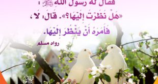 الخطوبة