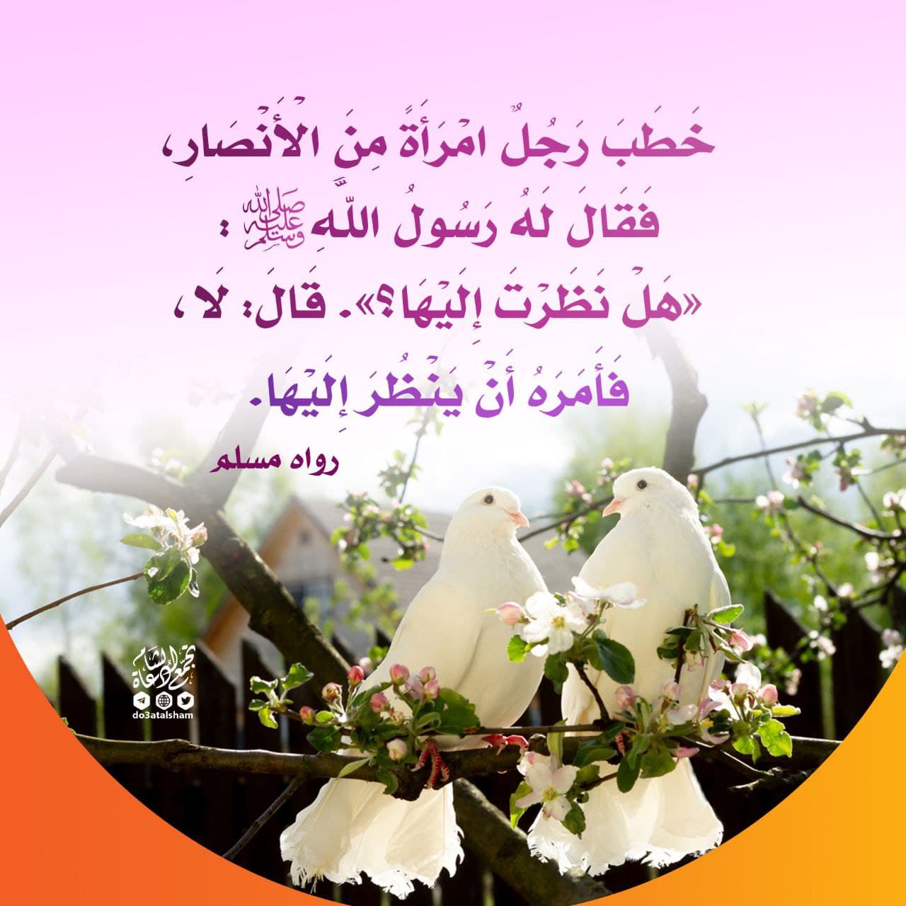 الخطوبة