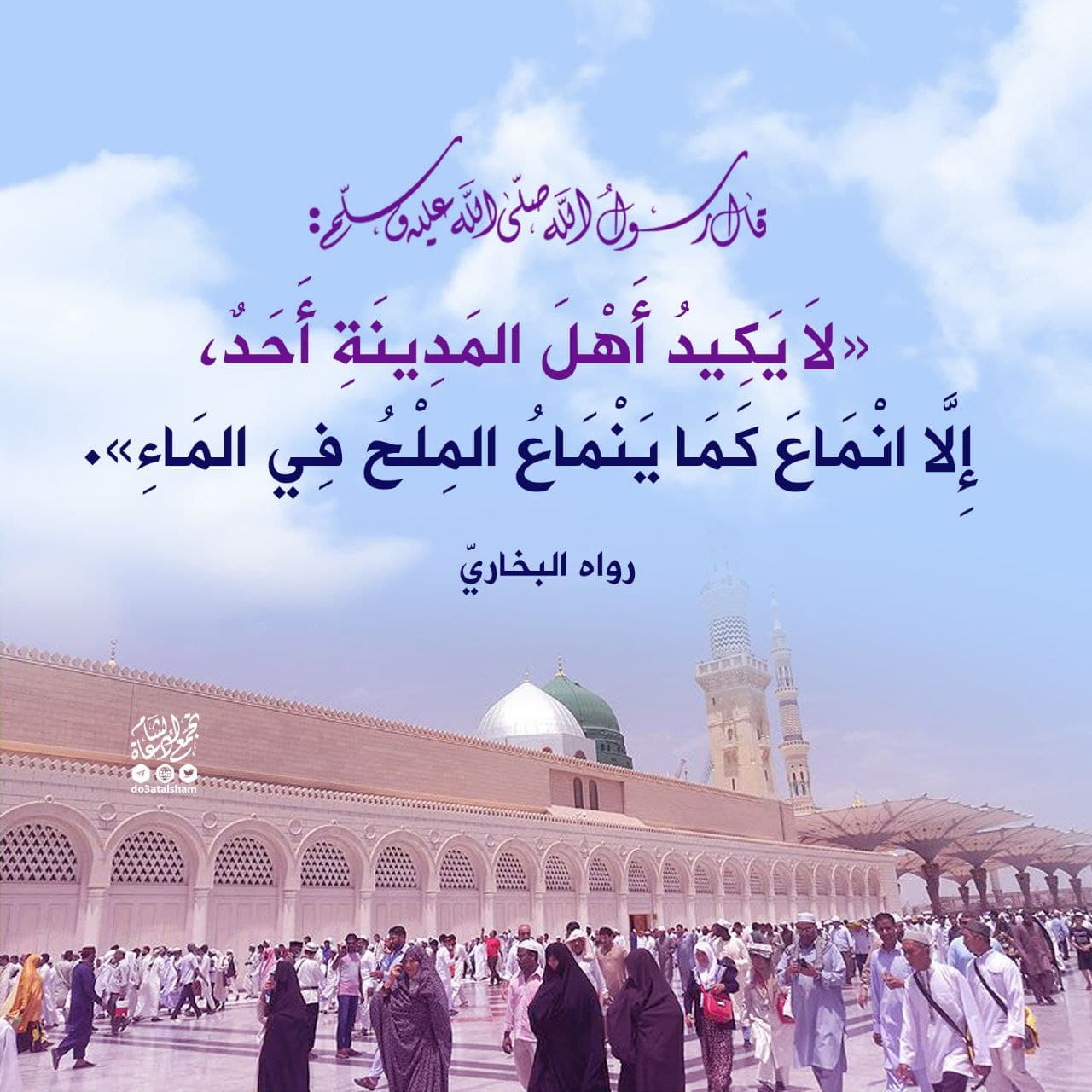 بركة مدينة رسول الله