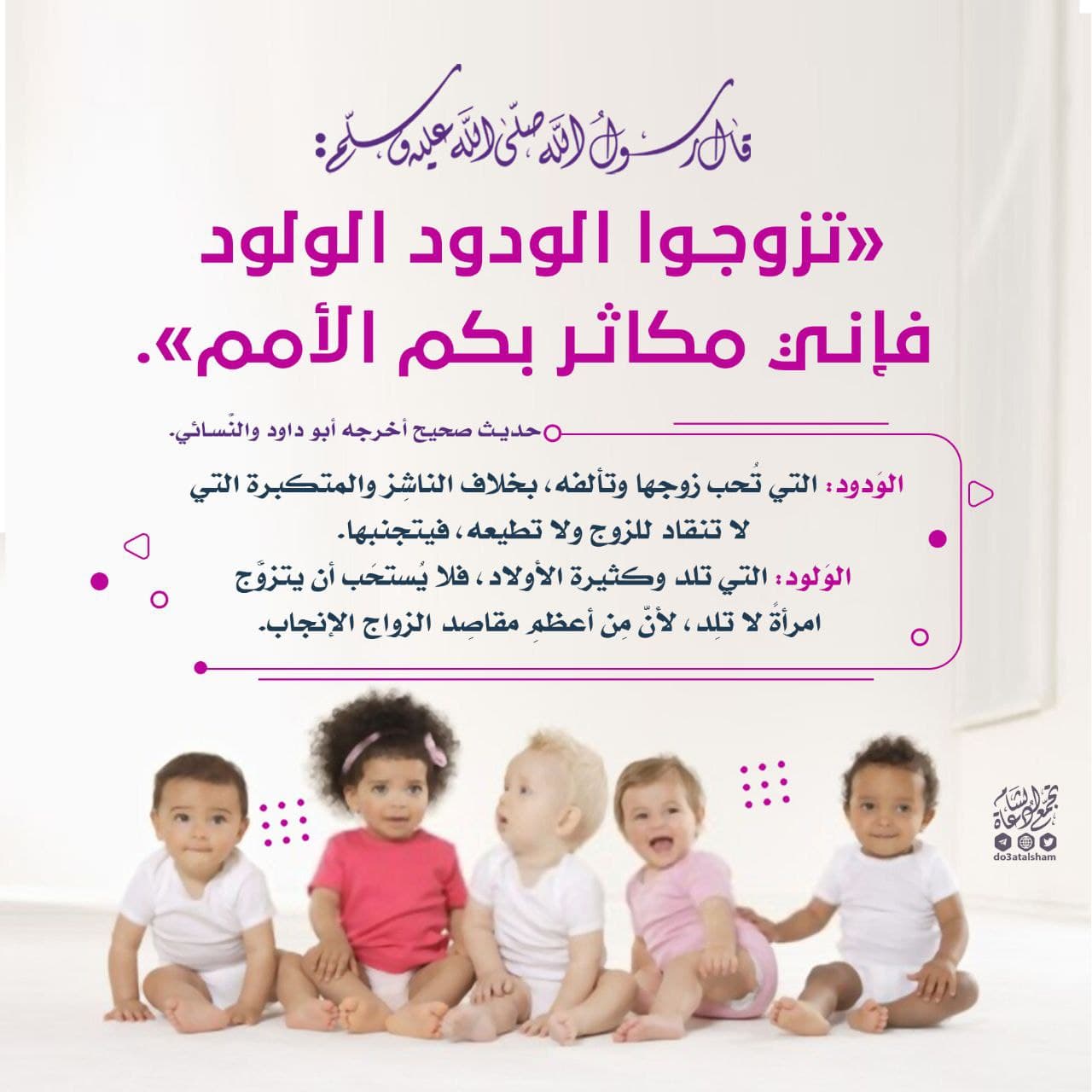 تزوجوا الودود الولود
