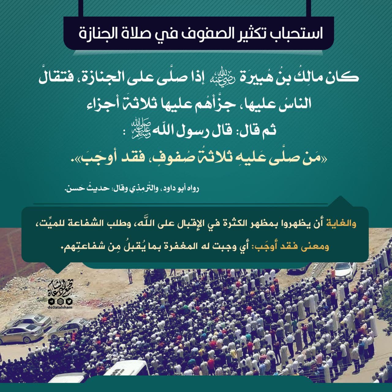 استحباب تكثير الصفوف في صلاة الجنازة