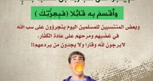 لا يرجون لله وقارا ولا يجدون من يؤدبهم!