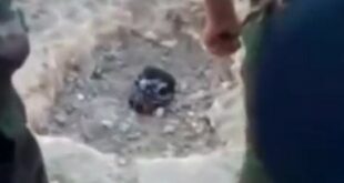 الهولوكوست الطائفي السوري ضد أهل السنة