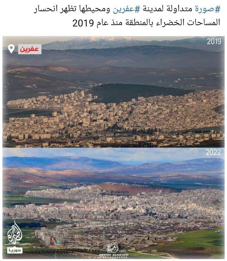 قال شو... لا تقطعوا الأشجار!