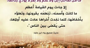 زكاة الأنعام - زكاة المواشي