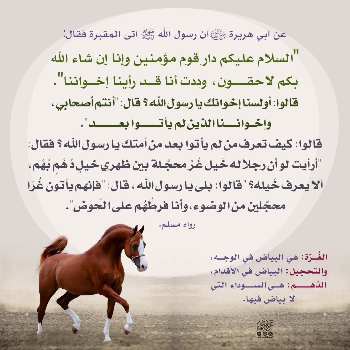 غرا محجلين من أثر الوضوء