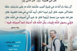 الزيارة في الله