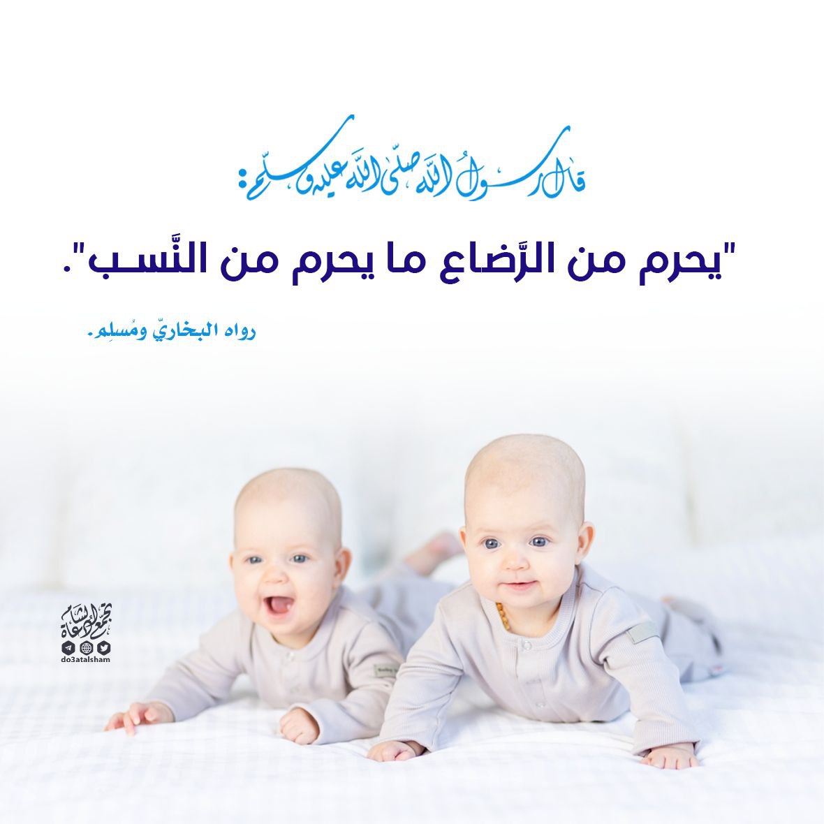 الرضاع والنسب