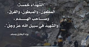 شهيد دون معركة