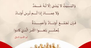 لا يصلح أمر الناس بلا من يجمعهم على الخير