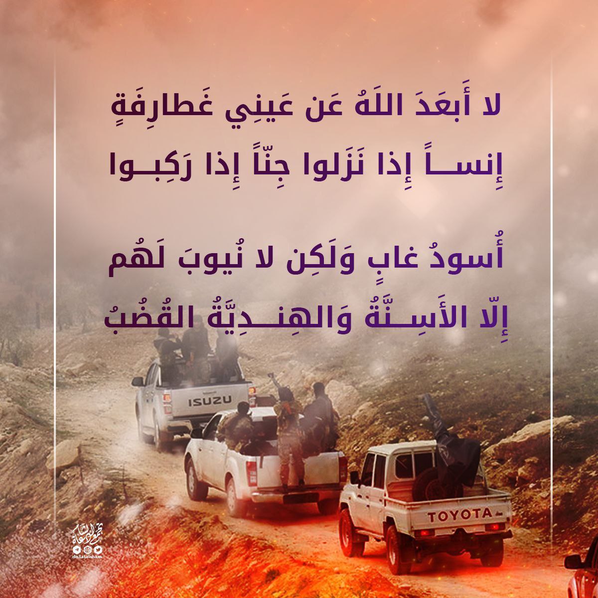 أسود غاب