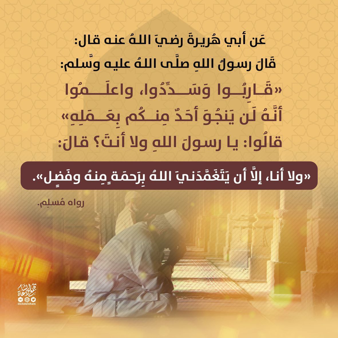 لن يدخل أحد الجنة بعمله