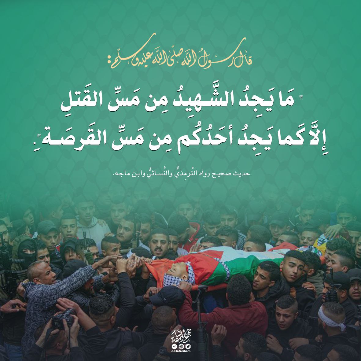 ما يجد الشهيد من مس القتل