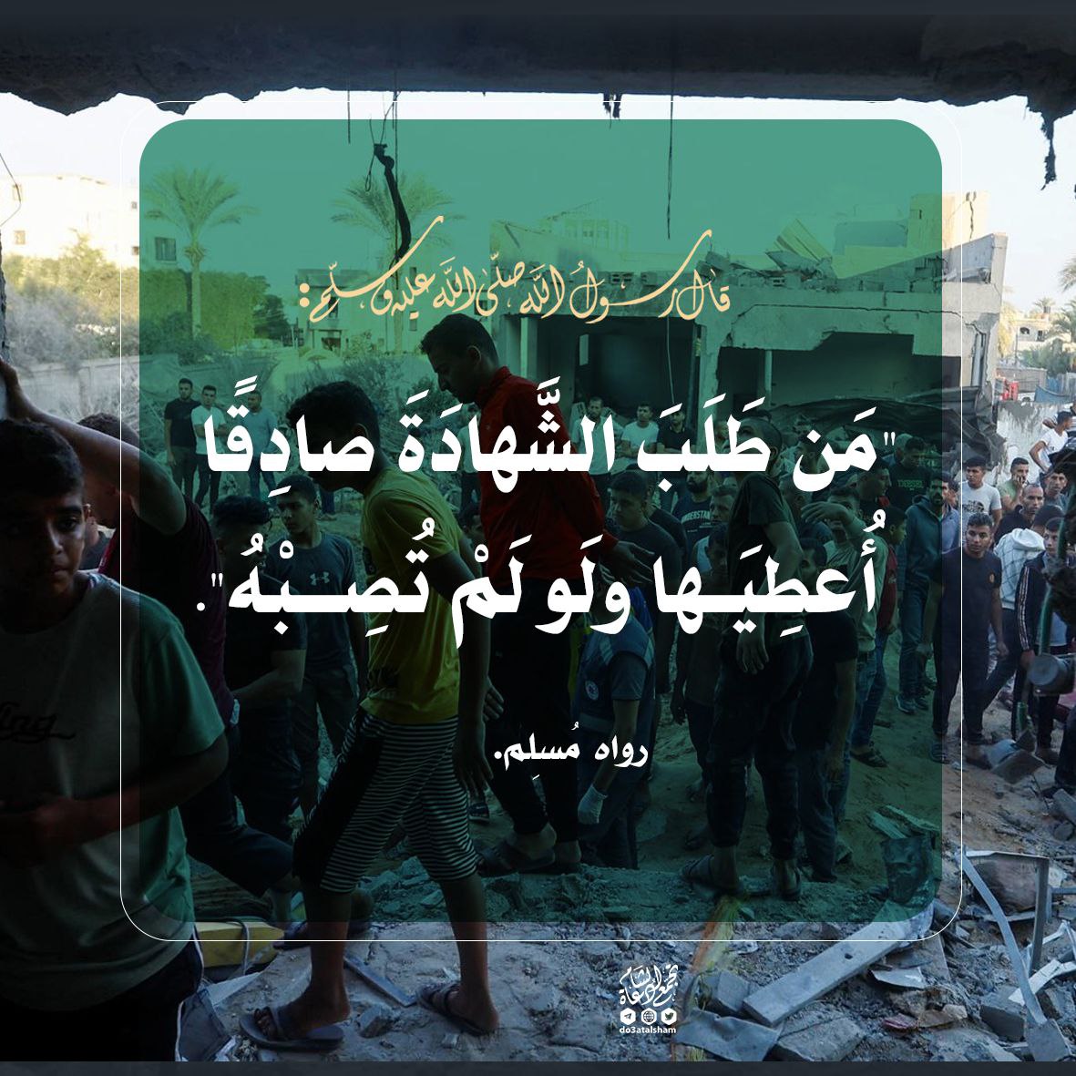 من طلب الشهادة صادقا