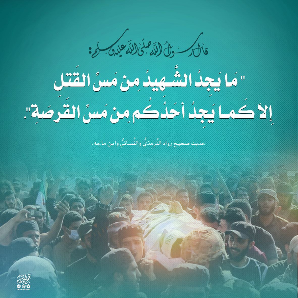 ما يجد الشهيد من مس القتل