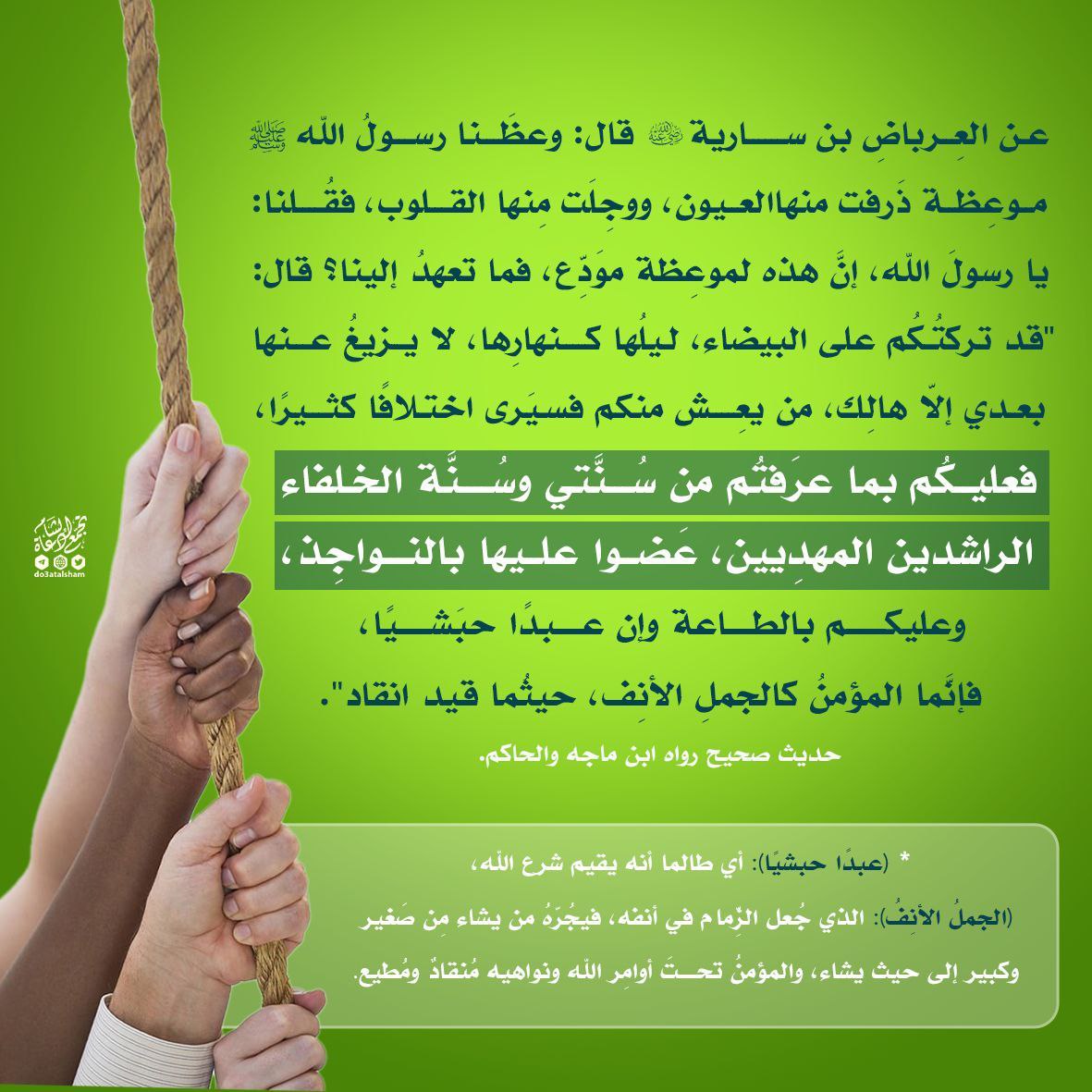 التمسك بالسنة سبيل الهداية