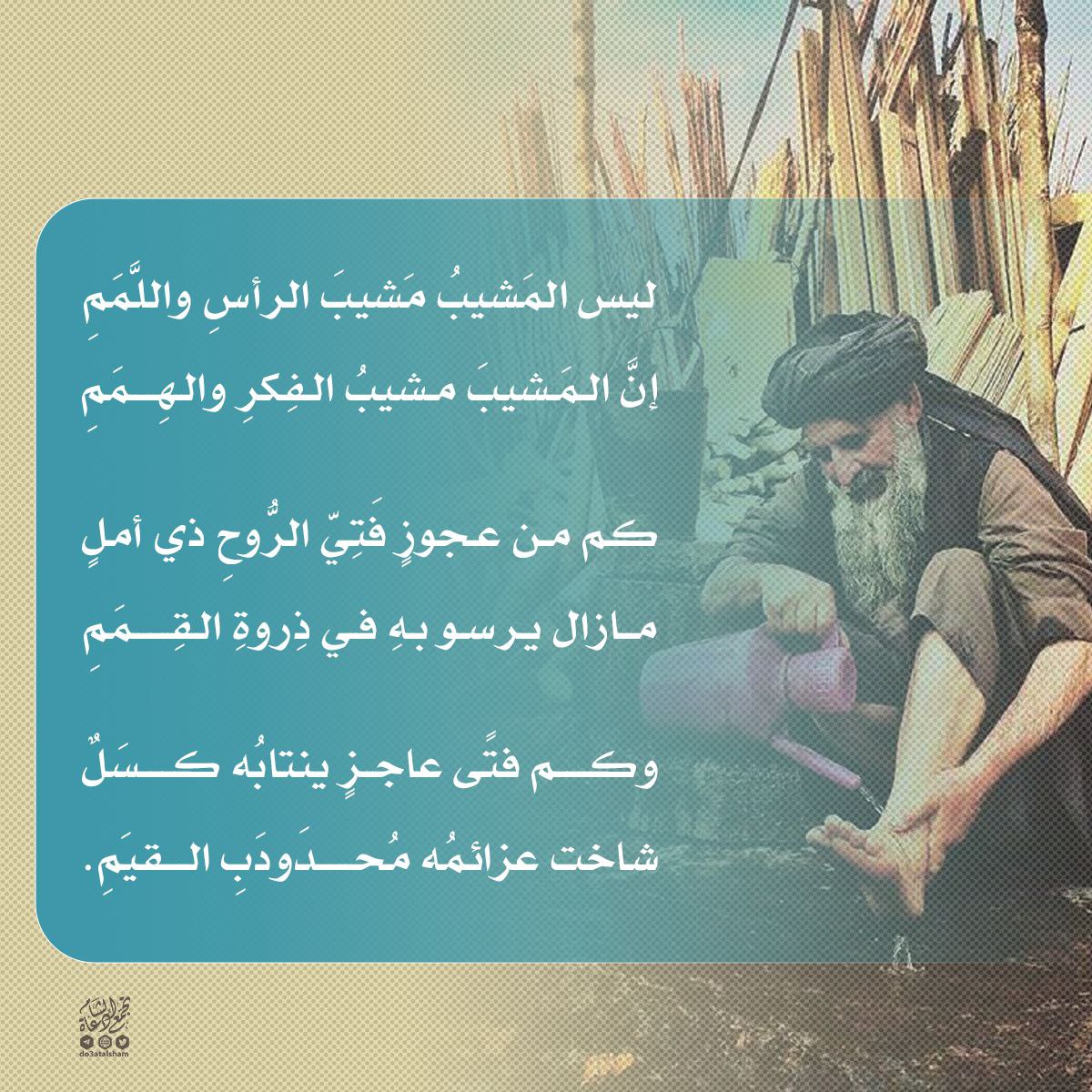 ليس المشيب مشيب الرأس