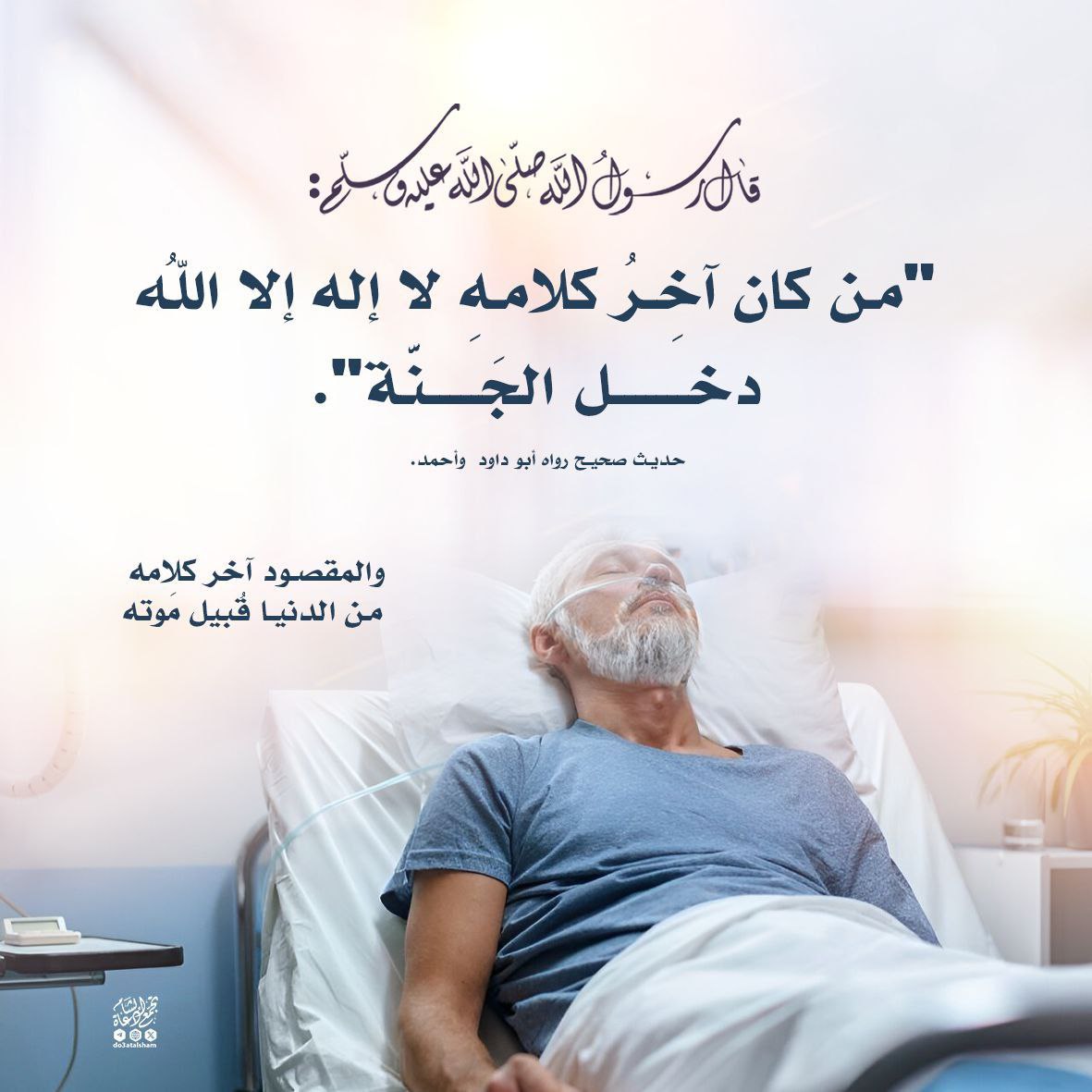 من كان آخر كلامه لا إله إلا الله