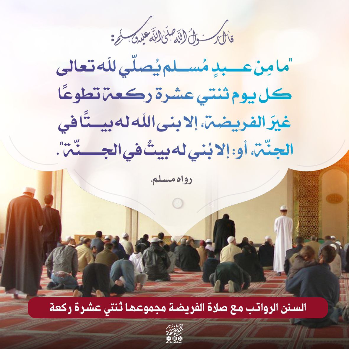 فضل صلاة النافلة والسنن الراتبة مع الفرائض